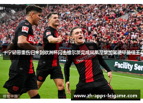 十字韧带重伤归来到欧洲杯闪击维尔茨完成凤凰涅槃加冕德甲最佳王